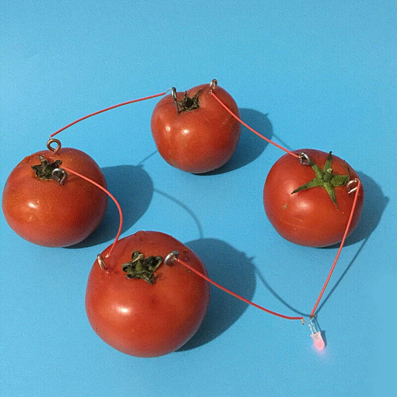 1 Set Children Bio Energy Science Kit Fruit Supply Electricity Experiments OZ