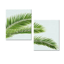 2x Palm Tree Leaves Canvas Posters Minimalist Painting Wall Background Decor