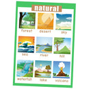 Birds &Nature~Kindergarten Classrooms Early Learning Posters Chart