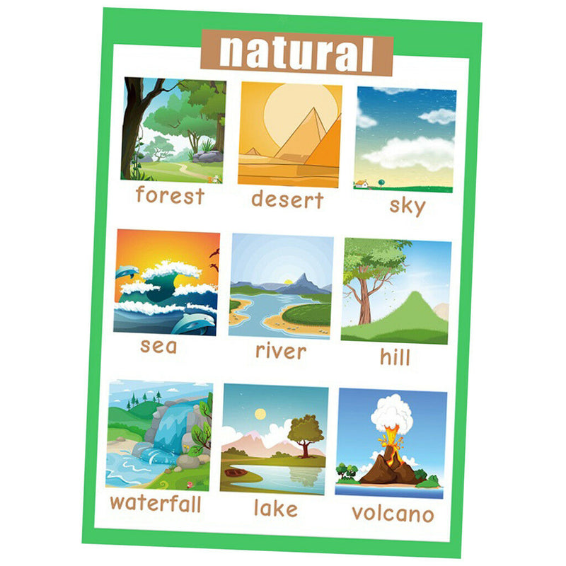 Birds &Nature~Kindergarten Classrooms Early Learning Posters Chart