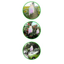 Bird Repellent Reflective Scare Discs Set of 8 Pieces, Hanging Owl Decor