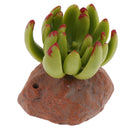 4x Realistic Plants Fish Tank Decor Landscape For