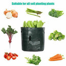 Potato Grow Bags "7 Gallon" Garden Vegetable Planters Bag With Handles And