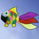 Rainbow Fish Kite Windsock Outdoor Garden Decor Kids Line Laundry Kids Toys BX
