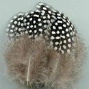 High Quality Guinea Fowl Feather 100PCS Christmas Wedding Home Decor DIY XVD