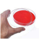 Plastic Petri Dish Sterile Dishes with Lid, 100 mm and 60 mm, 20 Pcs G8K7