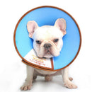 1X(KIMPETS Dog Cat Protection Cover Wound Healing Cone Protective Pet Medic