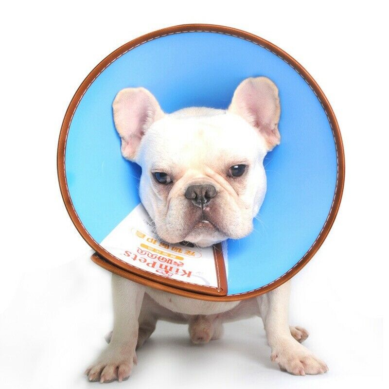 1X(KIMPETS Dog Cat Protection Cover Wound Healing Cone Protective Pet Medic