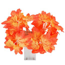 Maple Leaves Design 20LED String Light Autumn Garland Festival Atmosphere Decor