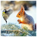 5D DIY Full Drill Diamond Painting Bird Rabbit Cross Stitch Embroidery Kits