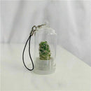 2Pcs Cute Mini Cactus Plant Keychain Keyring Charm Smartphone Pendant Chain