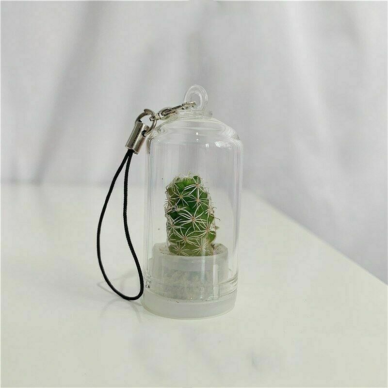 2Pcs Cute Mini Cactus Plant Keychain Keyring Charm Smartphone Pendant Chain