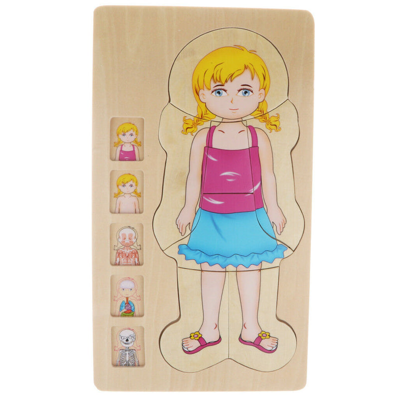 5-Layer Wooden Girl Body Puzzle, Help Your Girl Learn His Own Body Structure