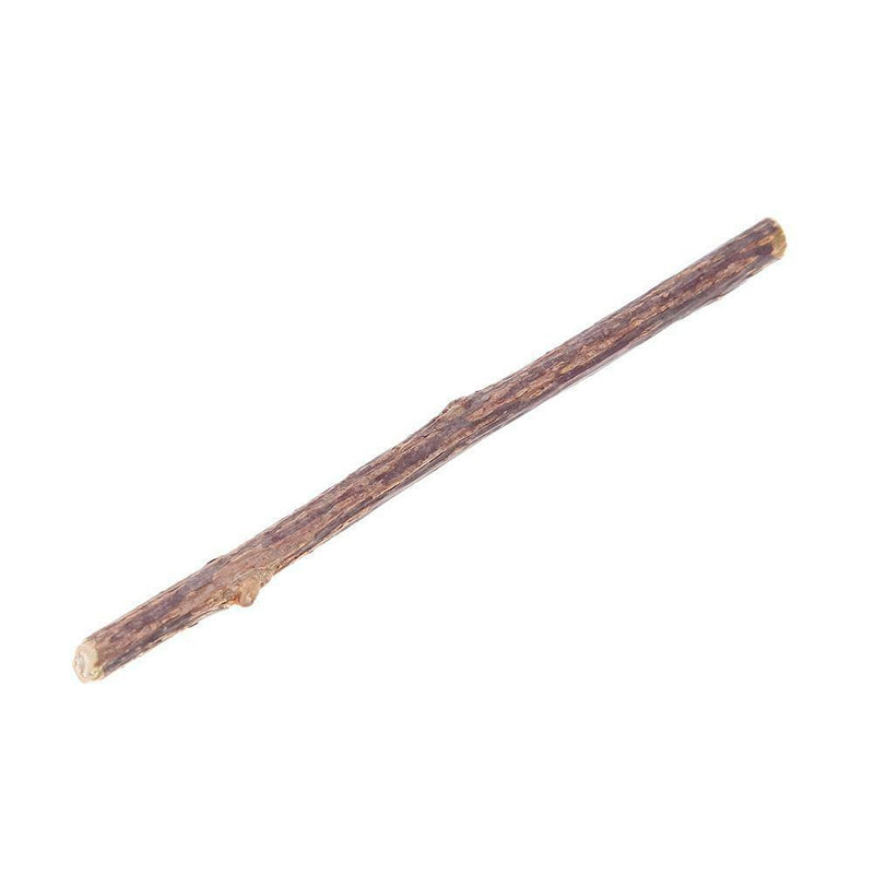 20pcs Natural Fruit Matatabi Cat Snacks Sticks Catnip Pet Cat Molar Rod A
