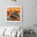 5D DIY Full Round Drill Diamond Painting Autumn Hedgehog Cross Stitch Decor A