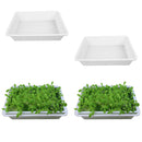 2x Seedling Starter Trays, Plant Germination Trays, without Drain Holes,
