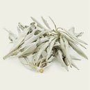 2Pcs American California White Sage Smudge Stick Wisp Sage Plant for Room P Q1F8