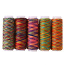 5pcs Rainbow Color Sewing Thread Hand Quilting Embroidery Sewing Thread A