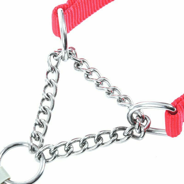 Gear Martingale Adjustable Choke-Style Dog Collar Red