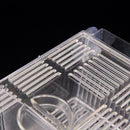 Aquarium Fish Tank Guppy Double Breeding Breeder Rearing Trap Clear Best Ac M5X2