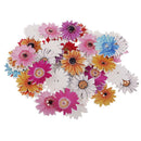 150x Daisy Flower Wood Decorative Buttons Scrapbooking Embellishment 15 25mm