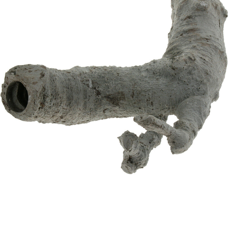 Tree Branch Pet Habitat Decor for Lizard,Frogs, Snakes, Chameleons Climbing