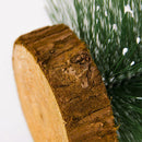 Simulation Mini Christmas Tree Ornament Home New Year Desktop Decor (20X8cm