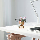Metal Eyewear Display Bracket Home Office Decor Keeping Your Glasses Safe
