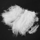 100pcs Fluffy Marabou Feathers Party Wedding Trim Trimming Decor DIY 8-15