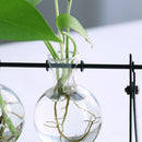 Hanging Flower Pot Vase With Black Metal Stand Single For Home Garden DecorA