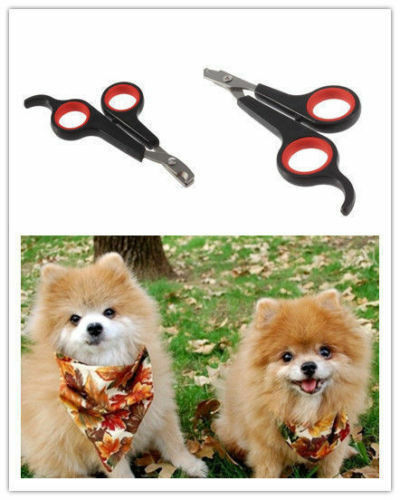 Dog Nail Claw Clippers Trimmer Scissors Cutter Kitten Puppy Pet Grooming care
