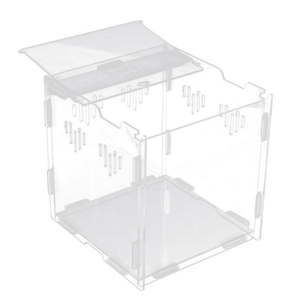 Clear Acrylic Pet Reptile Lizard Transport Breeding Feeding Case 17x17x17cm