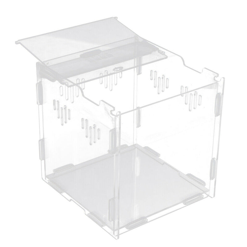 Clear Acrylic Pet Reptile Lizard Transport Breeding Feeding Case 17x17x17cm