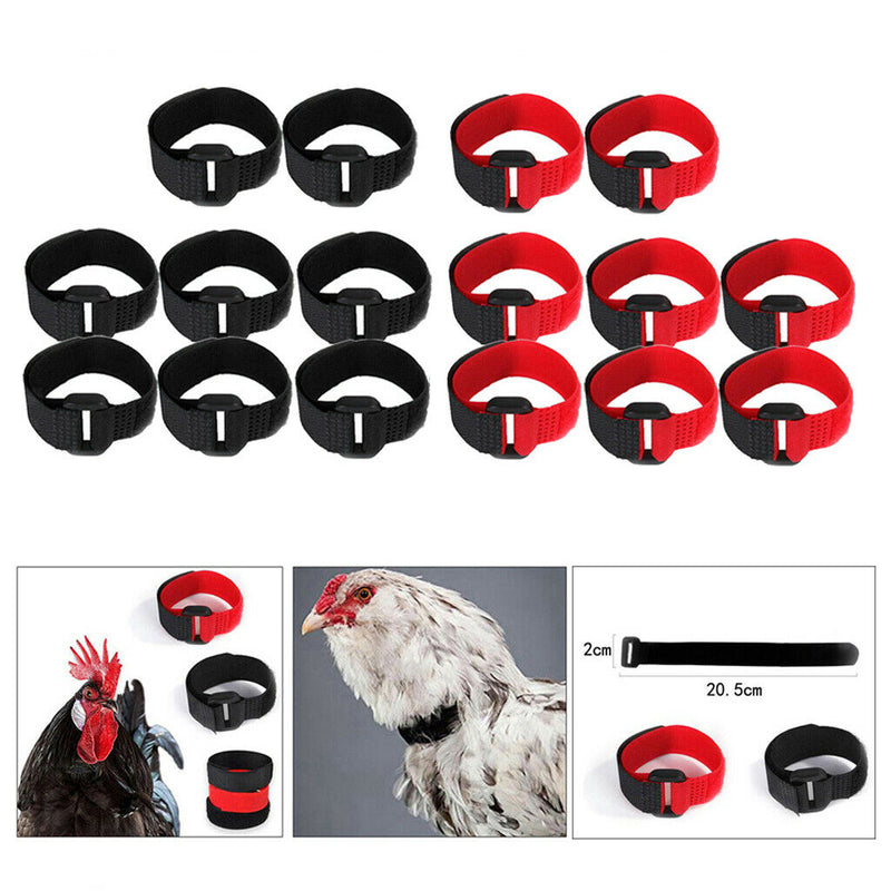 Set of 16 Rooster Collar Prevent Rooster from Screaming for Poultry Rooster
