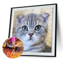 5D DIY Diamond Painting Cat Full Drill Embroidery Cross Stitch Art Picture