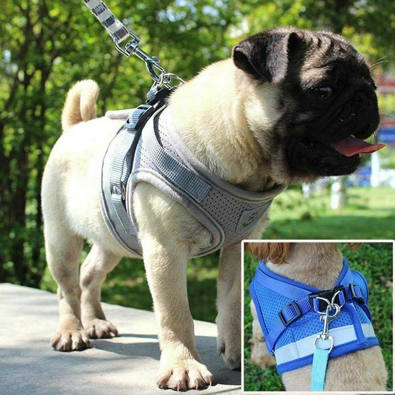 Dog Vest Harness, Dog Vest with Lead Soft Dog Harness, Summer Breathable Do