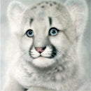 5D Diy Diamond Painting Cross Stitch White Tiger Animals Home decor Paintings ï¼W