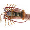 Realistic Solid Underwater World Animals Models Lifelike Large Size Lobster U4B9