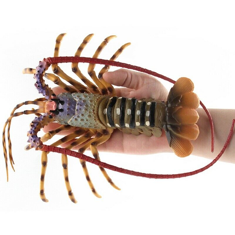 Realistic Solid Underwater World Animals Models Lifelike Large Size Lobster U4B9