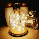 2m 20 LED Star Fairy Lights String Copper Wire Garland Lamp (Warm White)