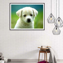 5D DIY Full Drill Diamond Painting Cute Animals Cross Stitch Craft Kit (04)