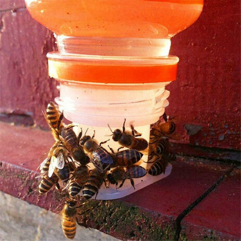 Bee Water Feeder Beehive Plastic Bee Water Drinking Feeder  Tool