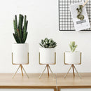 Set Of 3Pcs Ceramic Flower Planters With Iron Shelf Succulent Plant Pot Hom