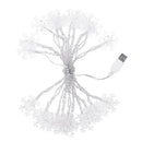 20 LED Lights Fairy String Lamp USB Power Christmas Valentine Wedding Decor A