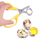 pigeon Quail Egg Scissor Bird Cutter Opener Egg Slicers Kitchen Tool ClipperBX