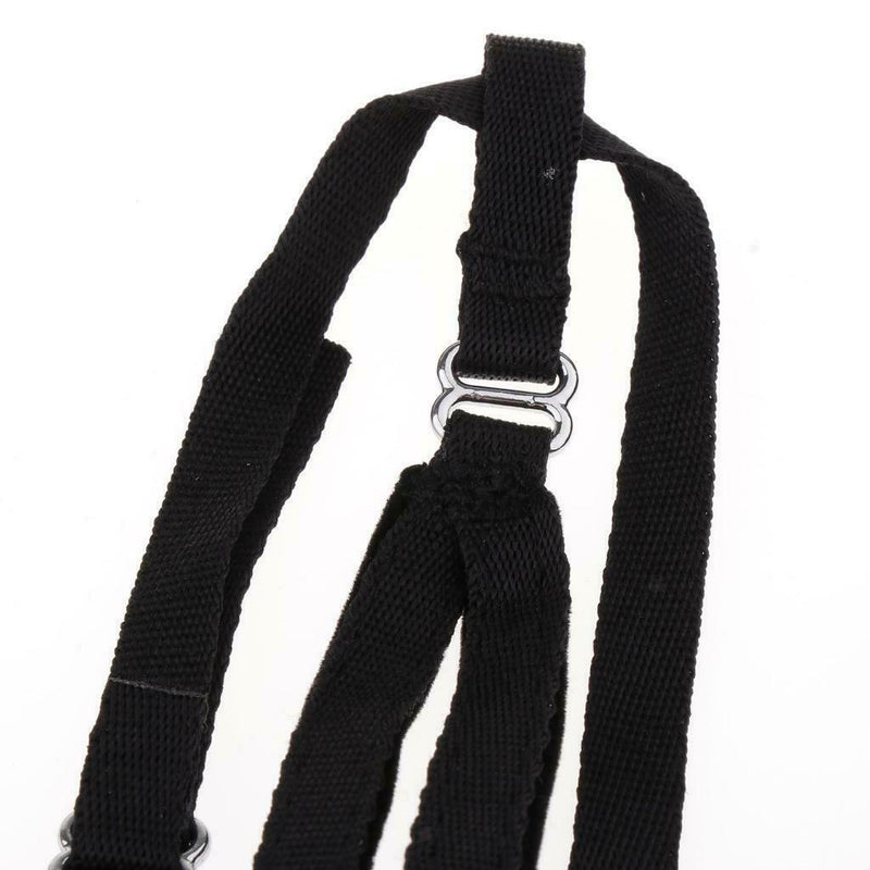 Set Of 2 Birds Leash Parrot Traction Rope For Medium Large Birds