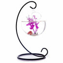 Globe Hanging Glass Vase 10 cm + Iron support 23 cm Height Decoration for G