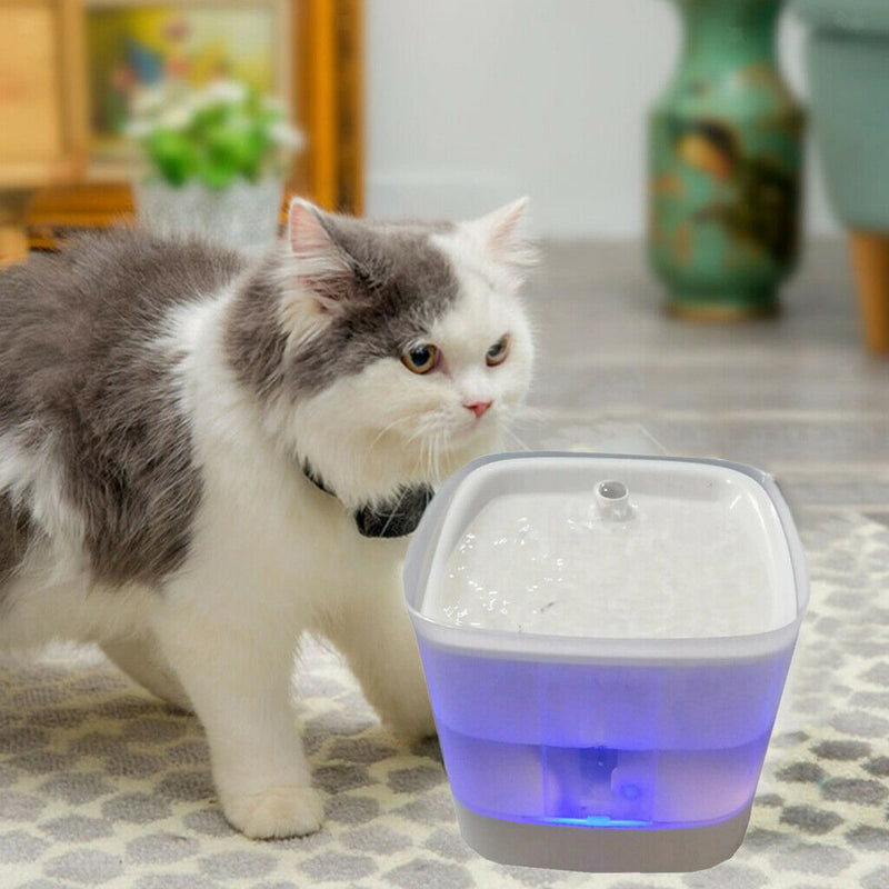 Plastic Pet Drinking FountainÃ¤Â¸Â¨Ultra QuietÃ¤Â¸Â¨Water Fountains for Cats and Dogs