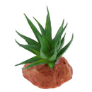 2pcs Aquarium Landscaping Artificial Plants Succulents Reptile Hideaway
