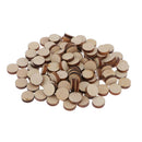 100Pcs Natural Tree Wood Slices Unfinished Wooden Crafts, Wood Ornaments for